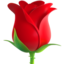 🌹 🌹