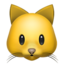 🐱 🐱