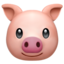 :pig: π·