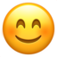 :blush: π