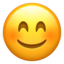 😊 😊