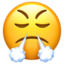 :triumph: π€