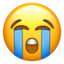 :sob: ðŸ˜