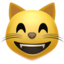 :smile_cat: 😸