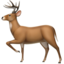 :deer: 🦌