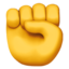 :fist: ✊