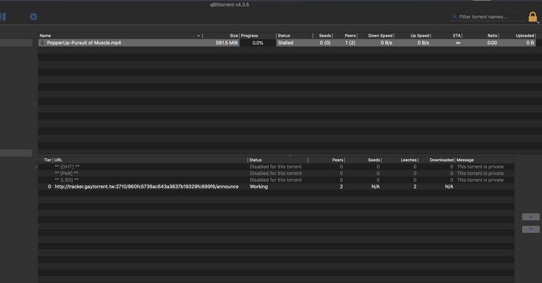 Screen Shot 2021-05-26 at 10.24.05 AM.png