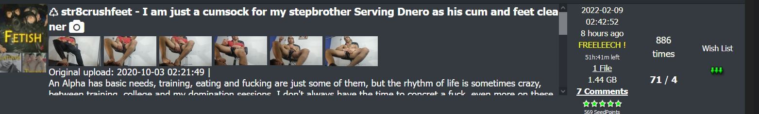 comments Capture.JPG