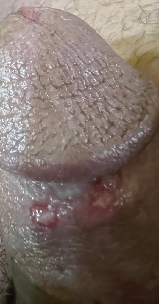 WhatsApp Image 2022-02-21 at 15.54.38.jpeg