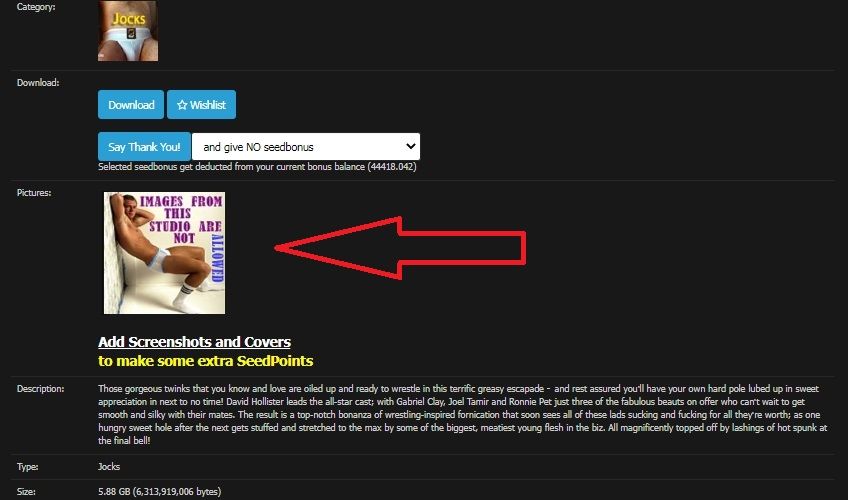 SportLadz - Oil Up Wrestling Edition (2).jpg