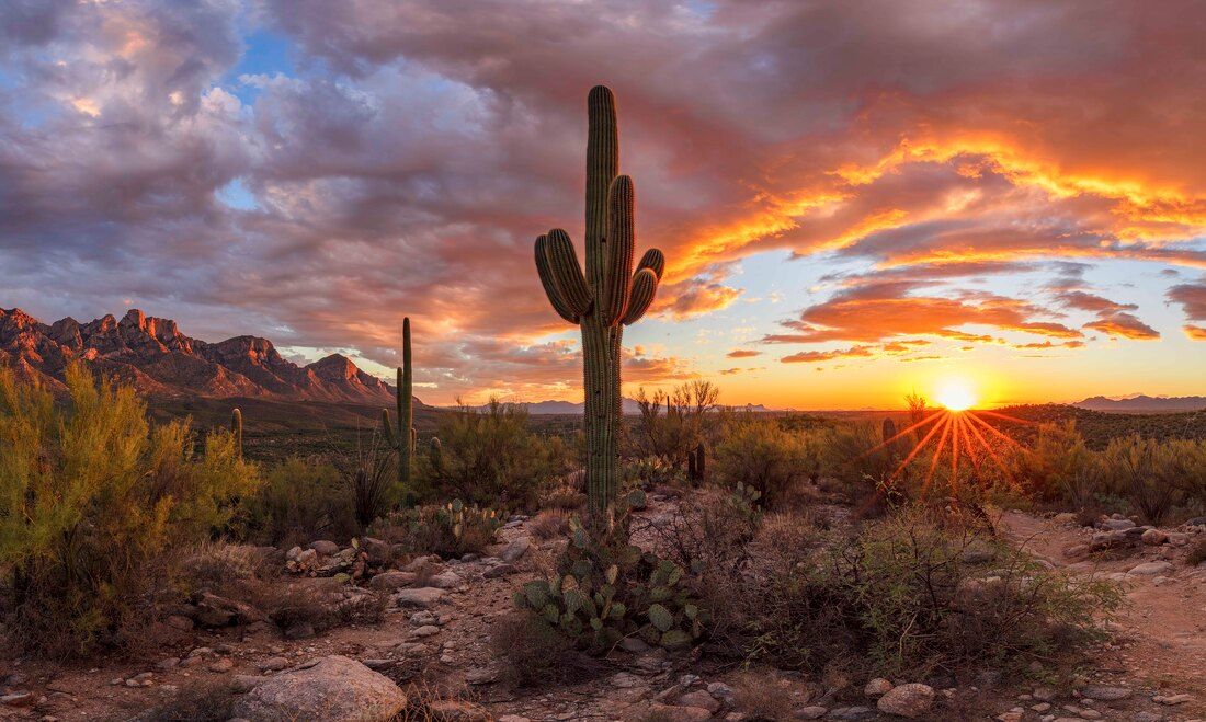 62-faria-danilo-50-year-trail-catalina-state-park-2019-a-classic-arizona-sunset-tall-handsome_orig.jpg