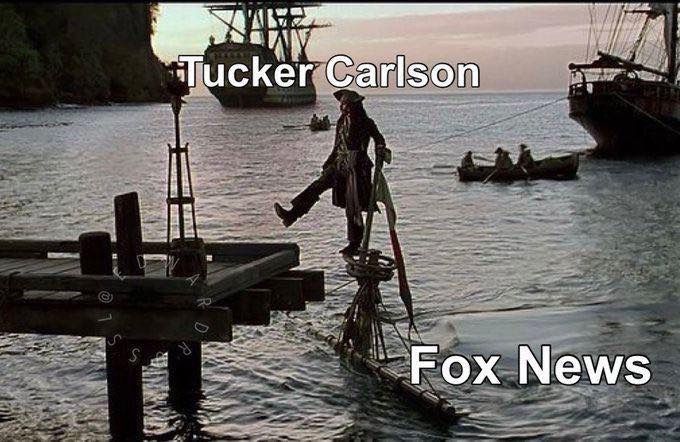 tucker-fox.jpg