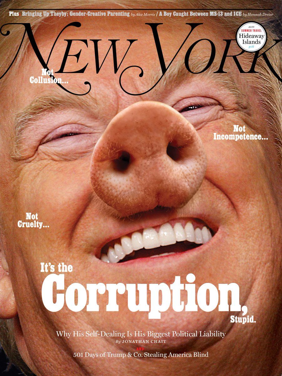 trumpnewyorkmagazinepig.jpg