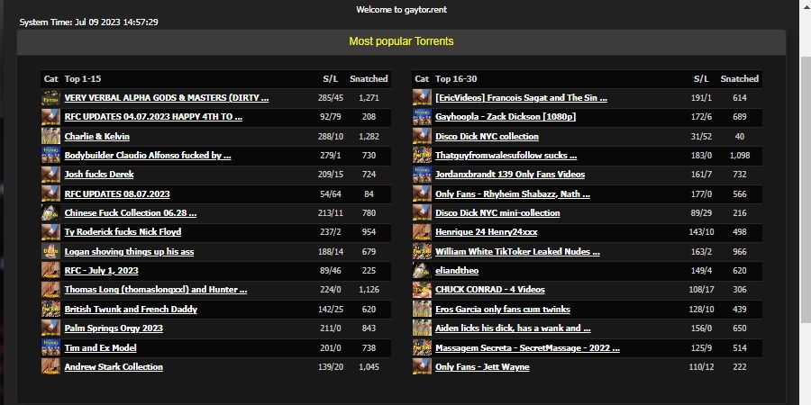 Welcome to gaytor.rent.jpg