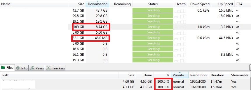 leeching torrent.jpg