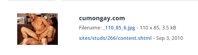 Screenshot 2025-07-24 at 19-57-03 1 TinEye search results.png