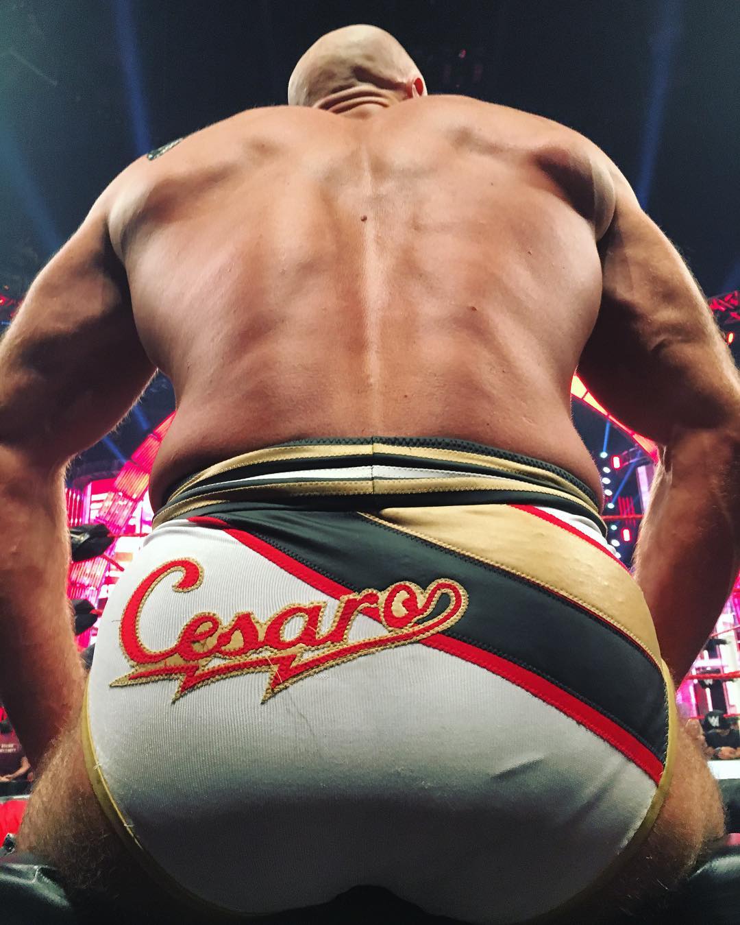 cesaro ass.jpg