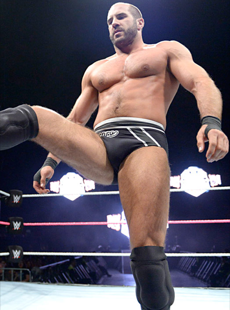 cesaro pecs and bulge.png