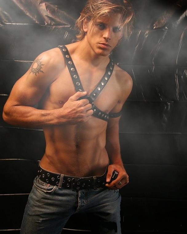 leather_harness.jpg