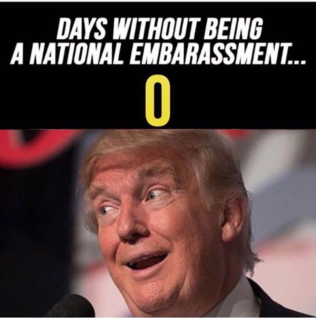 Days Without Shame.jpg