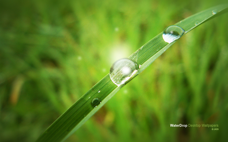 WaterDrop_desktop_wallpapers_by_JK89.jpg