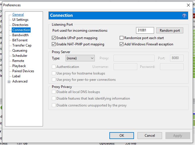 uTorrent Connections.JPG
