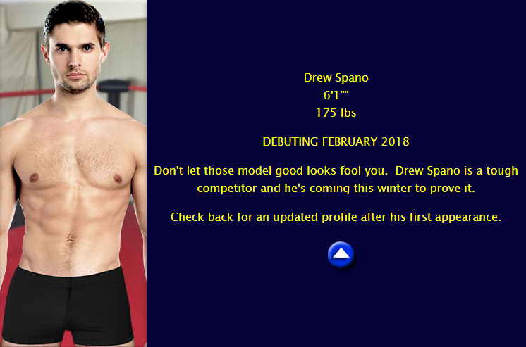 Opera Snapshot_2018-01-31_063726_www.nrwrestling.com.png