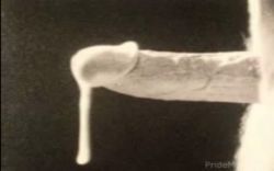 gay cock ozzing hot cum.jpg