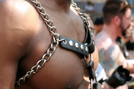 harness2.jpg