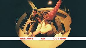 wallows.jpg