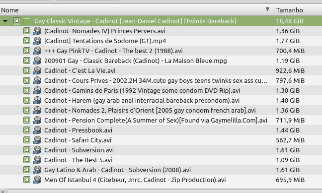Captura de tela_2020-12-28_16-50-53.png
