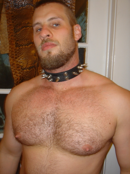 collar2.jpg