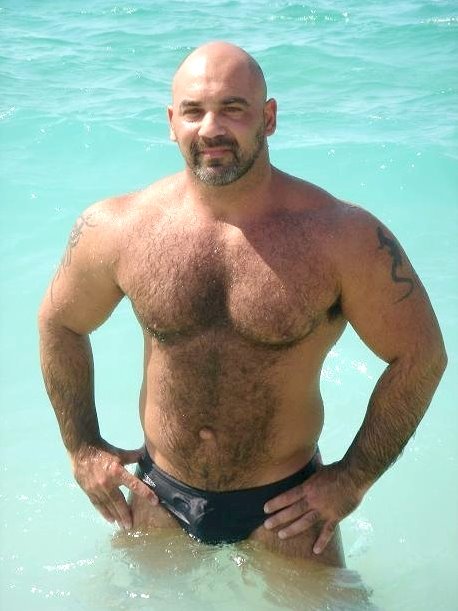 Am_Beach_Bear_a057aa.jpg