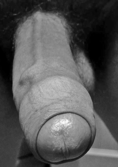 big-dick-uncut-cock-1.jpg