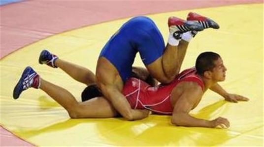 Wrestling02.jpg