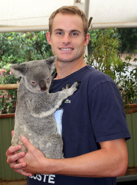 Andy+Roddick+Brooklyn+Decker+Visit+Koala+Sanctuary+446iLEF_MRAl.jpg