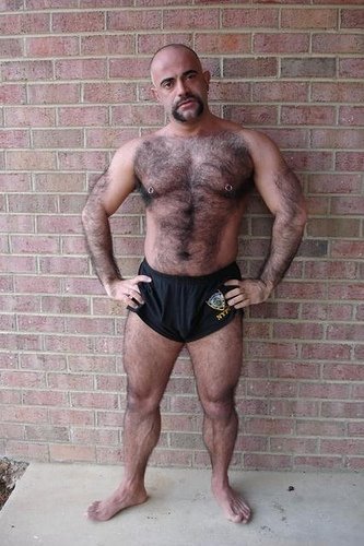 HAIRYBEARS_a051.jpg