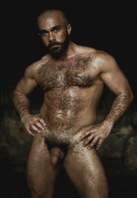 bear (68).jpg