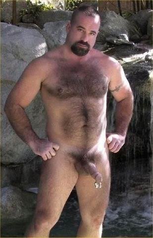bear (88).jpg