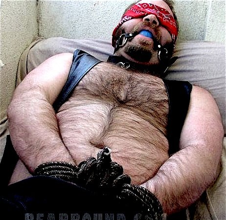 bear (140).jpg