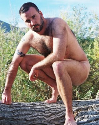 Bears_Cub_Fur-4.jpg