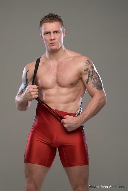 fritz aanes-713430.jpg