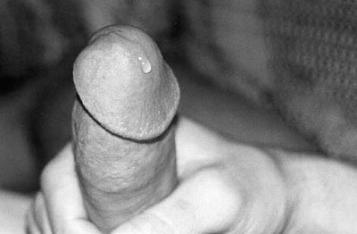 PreCum-2.JPG