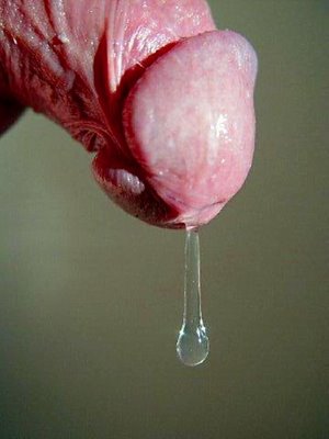 PreCum-26.jpg