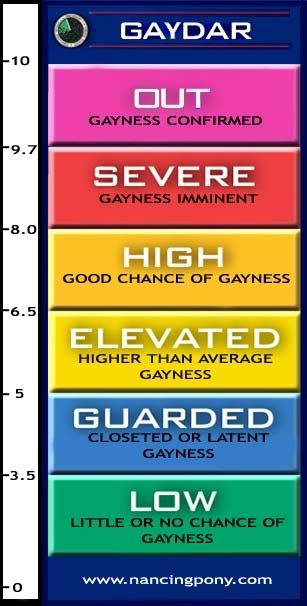 gaydar 11.jpg