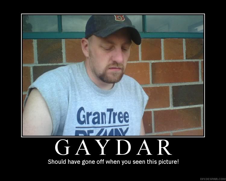 gaydar 16.jpg