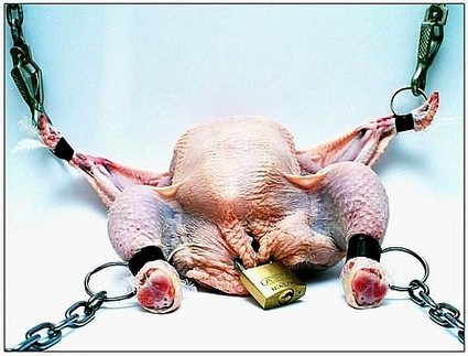 ChickenBondage.jpg