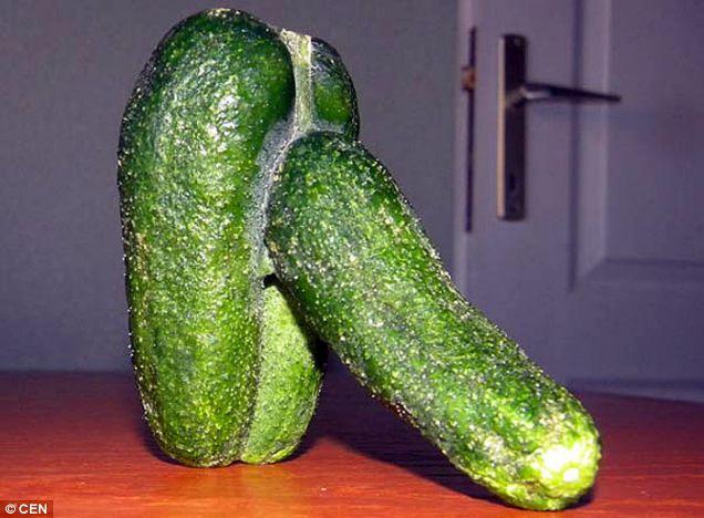 Cucumber.jpg