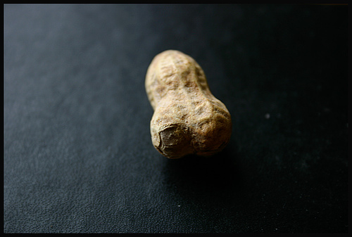 Peanut.jpg