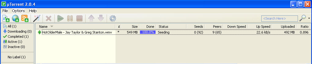 pic3 - ratio 0.896 with 92 seeders!.jpg